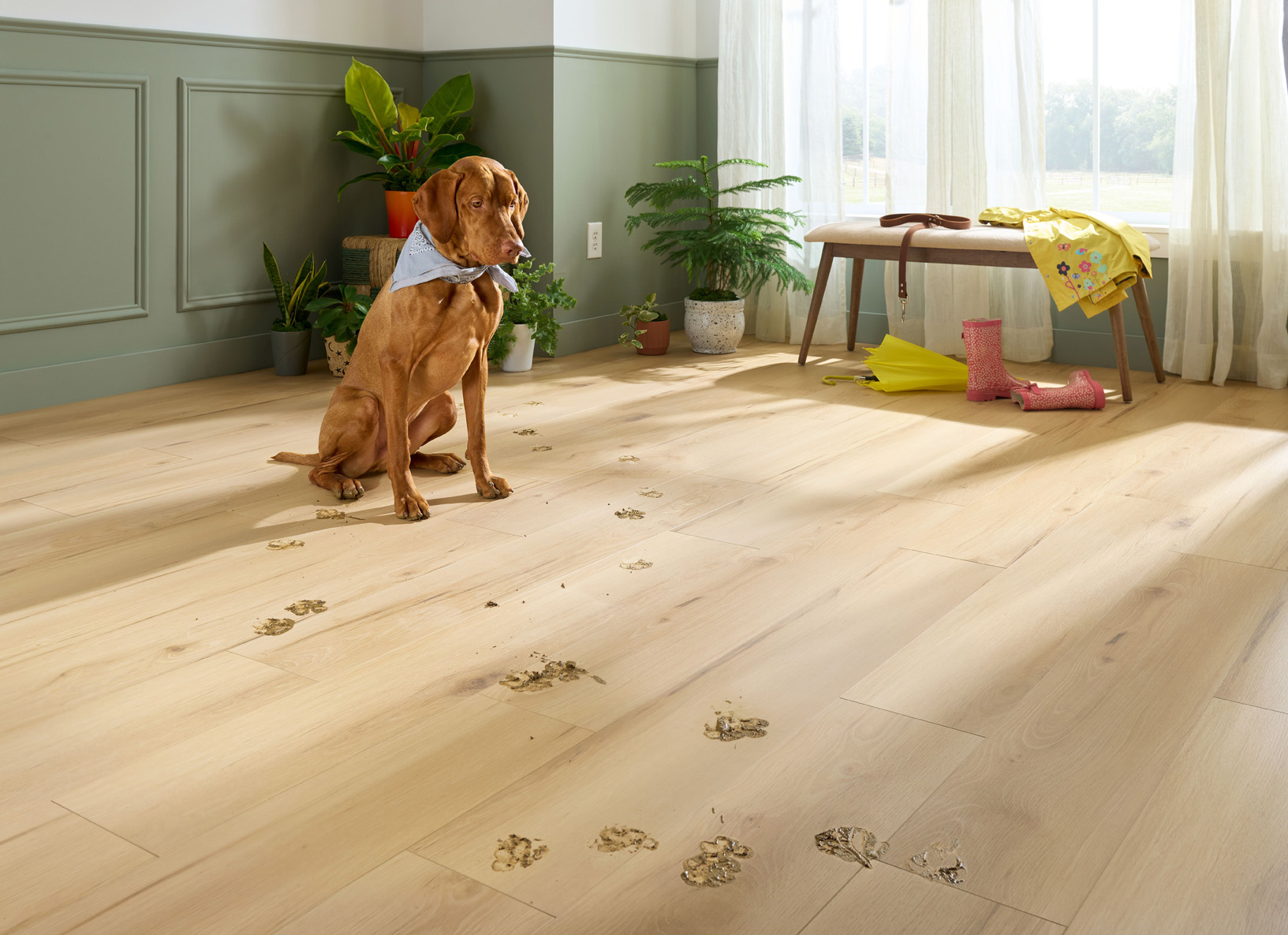 Ingenious Plank Resilient Flooring by AHF Products wins 2025
